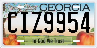 GA license plate CIZ9954