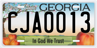 GA license plate CJA0013