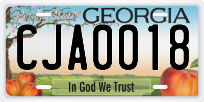 GA license plate CJA0018