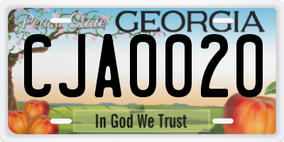 GA license plate CJA0020