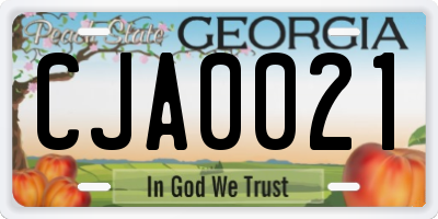 GA license plate CJA0021