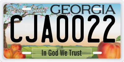 GA license plate CJA0022