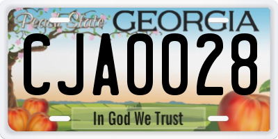 GA license plate CJA0028