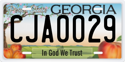 GA license plate CJA0029