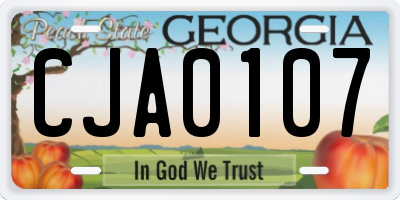 GA license plate CJA0107