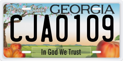 GA license plate CJA0109