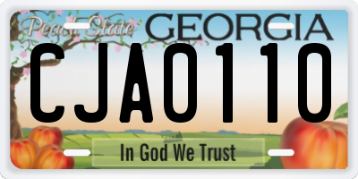 GA license plate CJA0110