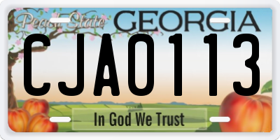 GA license plate CJA0113