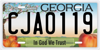 GA license plate CJA0119