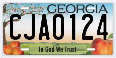 GA license plate CJA0124
