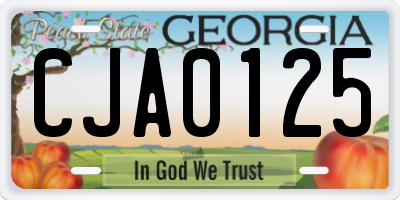 GA license plate CJA0125