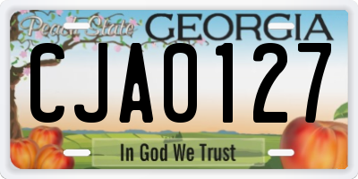 GA license plate CJA0127