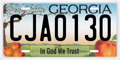 GA license plate CJA0130