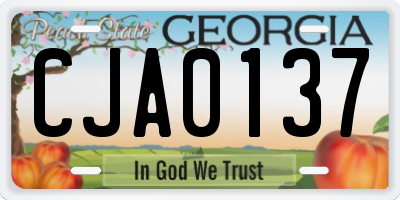 GA license plate CJA0137