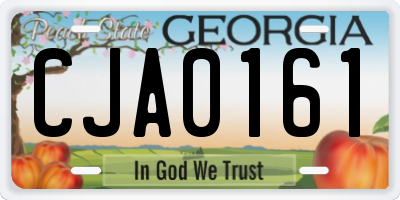 GA license plate CJA0161