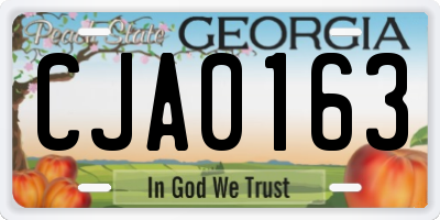 GA license plate CJA0163