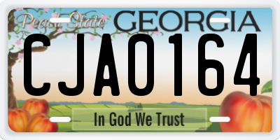 GA license plate CJA0164
