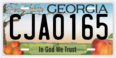 GA license plate CJA0165