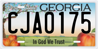 GA license plate CJA0175