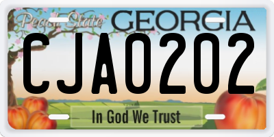 GA license plate CJA0202