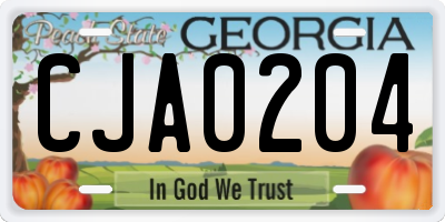 GA license plate CJA0204