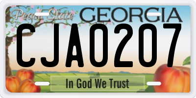 GA license plate CJA0207