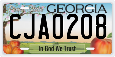 GA license plate CJA0208