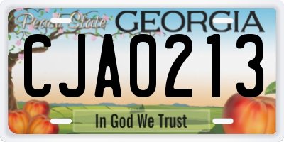 GA license plate CJA0213