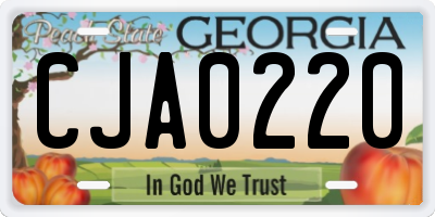 GA license plate CJA0220