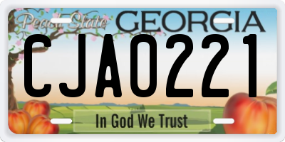 GA license plate CJA0221