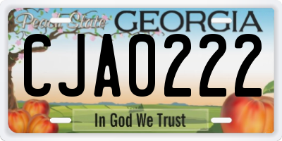 GA license plate CJA0222