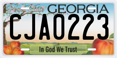 GA license plate CJA0223