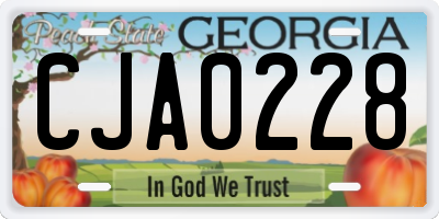 GA license plate CJA0228