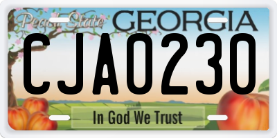 GA license plate CJA0230