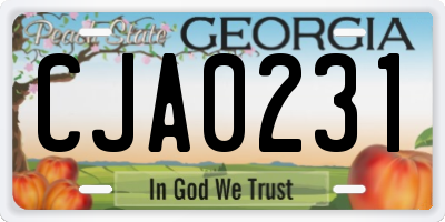 GA license plate CJA0231