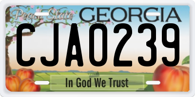 GA license plate CJA0239