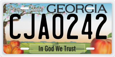 GA license plate CJA0242