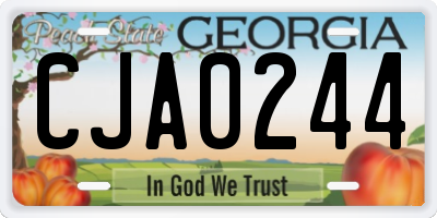 GA license plate CJA0244