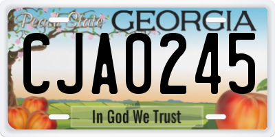 GA license plate CJA0245