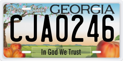 GA license plate CJA0246