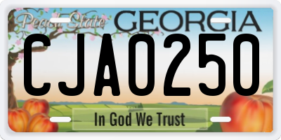 GA license plate CJA0250