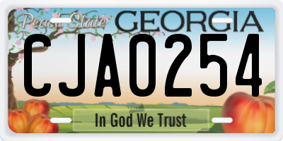 GA license plate CJA0254