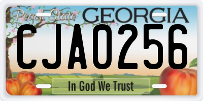 GA license plate CJA0256