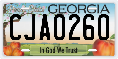 GA license plate CJA0260