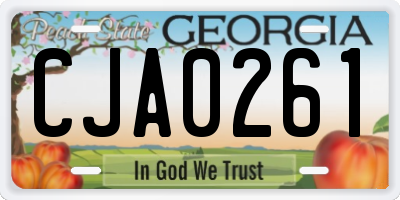 GA license plate CJA0261