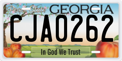 GA license plate CJA0262