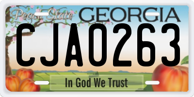 GA license plate CJA0263