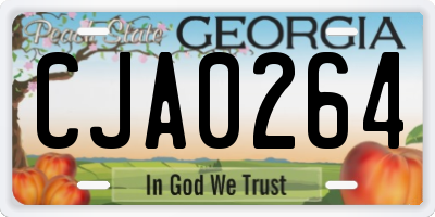 GA license plate CJA0264
