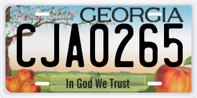 GA license plate CJA0265