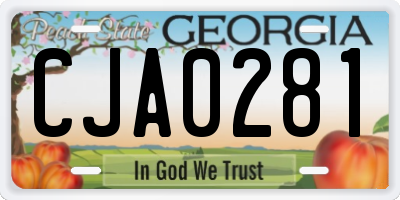GA license plate CJA0281